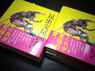 Illustration for article titled Bug Sex Book Sparks Surprising Controversy